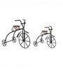 Black Metal Bicycle Showpieces Set Of 2