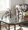 Black Metal Bicycle Showpieces Set Of 2