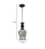 Geya Black Metal Hanging Light