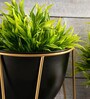Black Metal Desk Planter