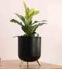 Black Metal Floor Planters Stand