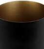 Black Metal Floor Planters Stand