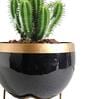 Black Metal Elis Desk Pot Desk Pot