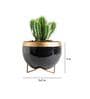 Black Metal Elis Desk Pot Desk Pot