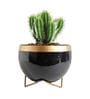 Black Metal Elis Desk Pot Desk Pot