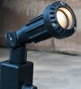 Black Metal Garden Light