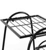Black Metal Marvel Planter Stand