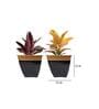 Midland (Set of 2) Black Metal Floor Planter