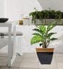 Midland (Set of 2) Black Metal Floor Planter