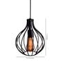 Lexi Black Metal Hanging Light