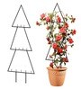 Black Triangle Planter Stand For Climbing Plants