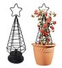 Black Star Planter Stand For Climbing Plants