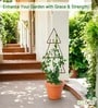 Black Triangle Planter Stand For Climbing Plants