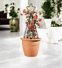 Black Star Planter Stand For Climbing Plants