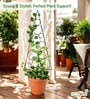 Black Circul Planter Stand For Climbing Plants