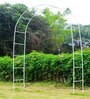 White Plant Stand For Climbing Plants