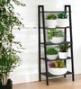 Black Shelf Planter Stand
