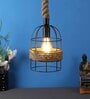 Avila Black Metal Hanging Light