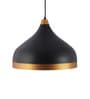 Uniquely Black Metal Hanging Light