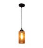 Jarvis Black Metal Hanging Light