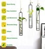 Black Test Tube Hanging Planter