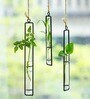 Black Test Tube Hanging Planter