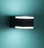 Elora Metal LED Wall Flush Mount Light (Black)