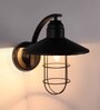 Marigot Black Metal Wall Sconces