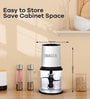 Black Mixer Grinder with Stainless Steel Blade