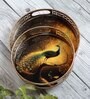 Black Peacock Set of Metal Tray Set of 2