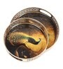 Black Peacock Set of Metal Tray Set of 2