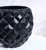 Black Plastic Heraldry Ball Medium Desk Pot