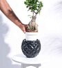 Black Plastic Heraldry Ball Small Desk Pot