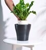 Black Plastic Tivoli Large Desk Pot