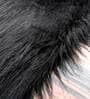 Black Shaggy Polyester 5 ft x 7 ft Shaggy Carpet