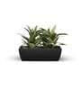Fabi Medium Black Polymer Planter