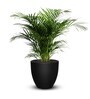 Iraka Medium Black Polymer Floor Planter