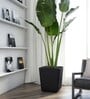Black Polymer Toyo  Big Planter