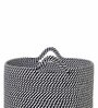 Black Polypropylene 52 Ltr (1Pc) Storage Basket