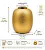 Gold Rounded Square Flower Vase for Home Decor, Iron, Matte Powder-Coated Finish Gold Rounded Square Flower Vase for Home Decor, Iron, Matte Powder-Coated Finish