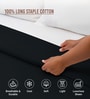 Black Solid 400 TC Cotton Double Sized Duvet Cover