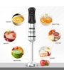 Black Stainless Steel Hand Blender
