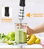 Black Stainless Steel Hand Blender