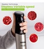 Black Stainless Steel Hand Blender Stick