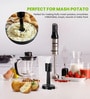 Black Stainless Steel Hand Blender Stick