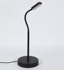Black Study Lamp With Stainless Steel Base