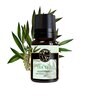 Tea Tree    Essential Oil