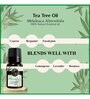 Tea Tree    Essential Oil