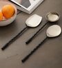 Black Twist Matt Finish Stainless Steel Serving Spoons Set of Three