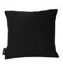 Black Floral Velvet 16 x 16 Inches Cushion Covers (Set of 5)
